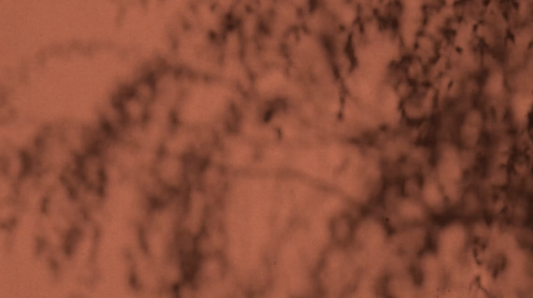 ClayLime - Tadelaktpro front